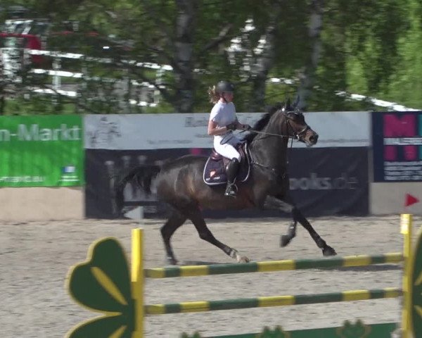 Reitturnier Monheim - Gut Blee 2021