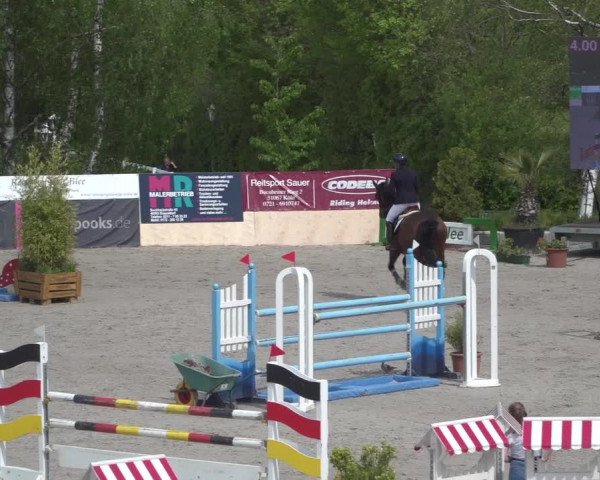 Reitturnier Monheim - Gut Blee 2021