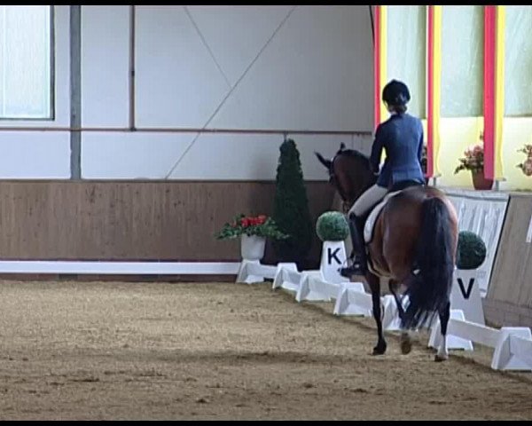broodmare Grazia WE (German Riding Pony, 2003, from Pilgrim’s Red)