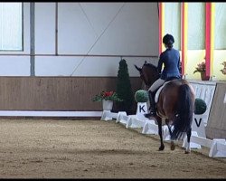 broodmare Grazia WE (German Riding Pony, 2003, from Pilgrim’s Red)