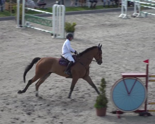 Reitturnier Monheim - Gut Blee 2021