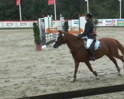 jumper Bella Donna (German Riding Pony, 2001, from Branduardi M)