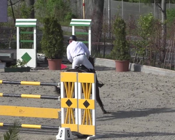 Reitturnier Monheim - Gut Blee 2021