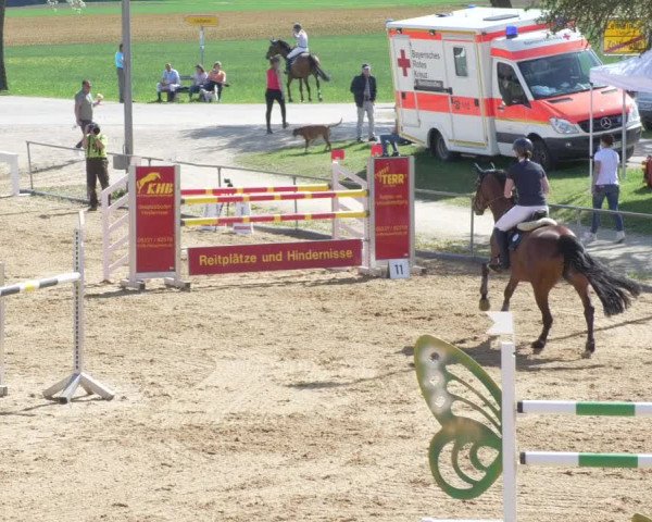 Reitturnier Zoltingen/Schw. 2021