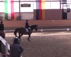 dressage horse Rockefeller (Westphalian, 2002, from Rockwell)