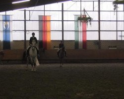 broodmare Salomee 17 (Westphalian, 2006, from Sandro Bedo)