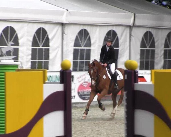 dressage horse Devencord (German Riding Pony, 2005, from Desperado K)
