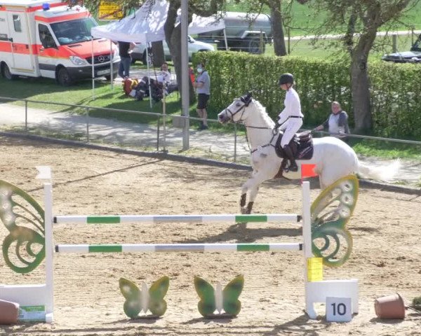 Reitturnier Zoltingen/Schw. 2021
