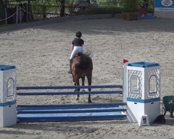 Reitturnier Monheim - Gut Blee 2021