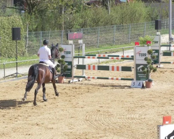 Reitturnier Zoltingen/Schw. 2021