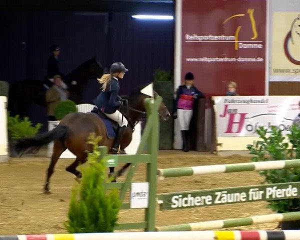broodmare Rianka (Holsteiner, 2001, from Lancer II)