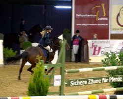 broodmare Rianka (Holsteiner, 2001, from Lancer II)