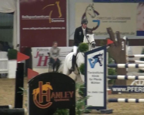 Springpferd Lycorrada (Holsteiner, 2001, von Lancer II)