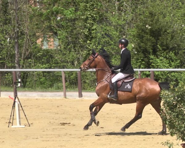 Reitturnier Winnenden 2021