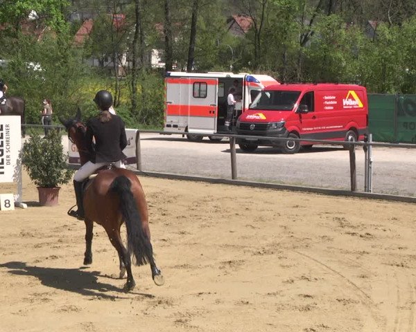 Reitturnier Winnenden 2021