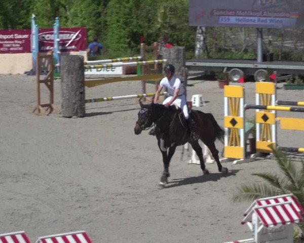 Reitturnier Monheim - Gut Blee 2021