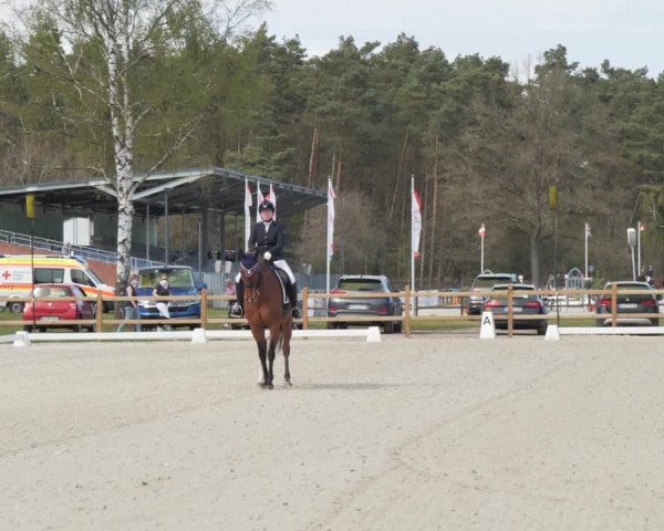 Reitturnier Westergellersen 2021