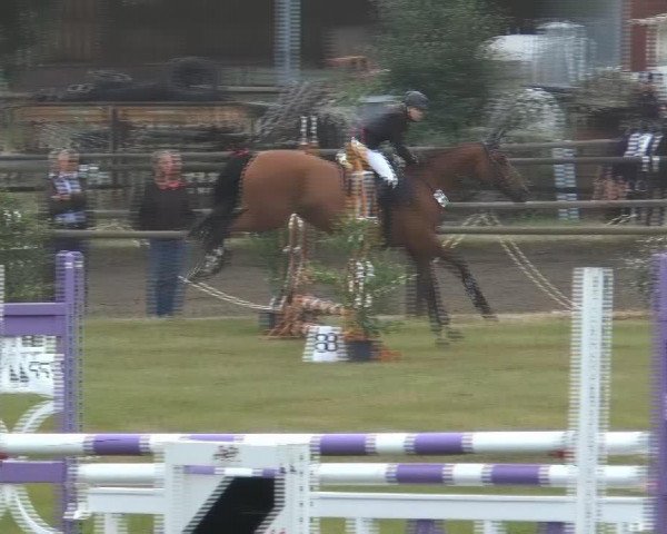 jumper Ancilla (Mecklenburg, 1999, from Anrit)
