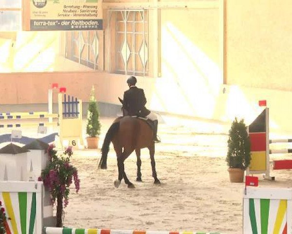 jumper Weyershofs Corleone (Bavarian, 2006, from Cyrano de Bergerac)