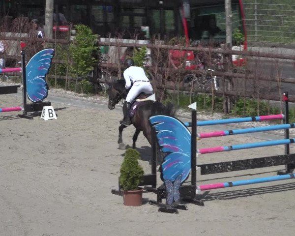 Reitturnier Monheim - Gut Blee 2021
