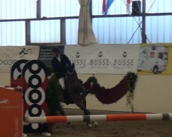jumper Livios (Bavarian, 2002, from Leviano)