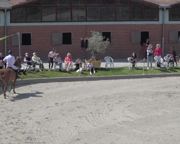 Reitturnier Monheim - Gut Blee 2021