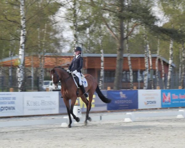 Reitturnier Westergellersen 2021