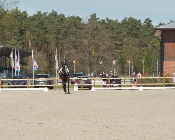 Reitturnier Westergellersen 2021