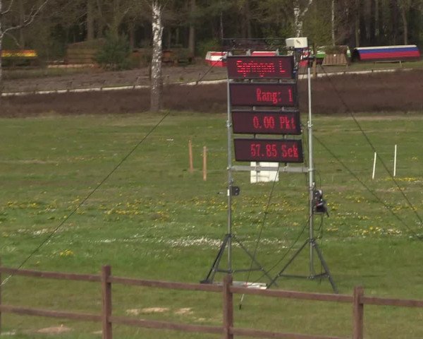 Reitturnier Westergellersen 2021