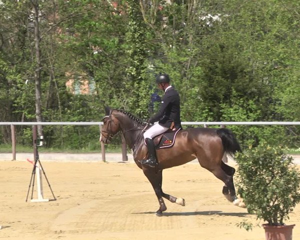 Reitturnier Winnenden 2021