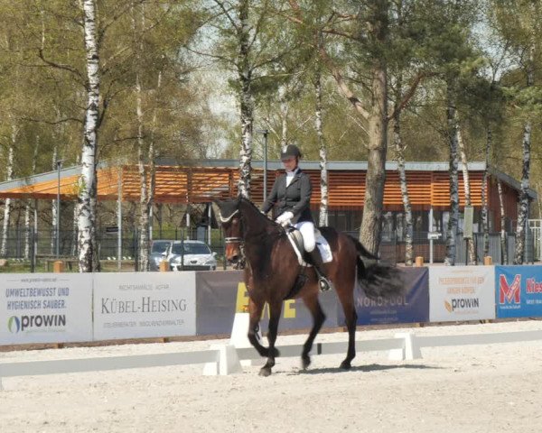 Reitturnier Westergellersen 2021