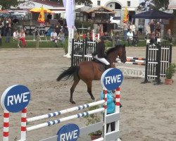 Zuchtstute Carina 469 (KWPN (Niederländisches Warmblut), 2002, von Cruyff)