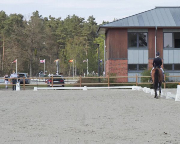 Reitturnier Westergellersen 2021