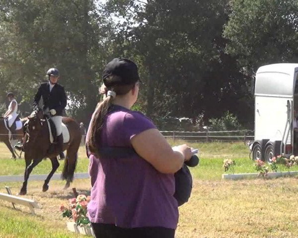 dressage horse Hepburn L (Hanoverian, 2005, from His Highness)