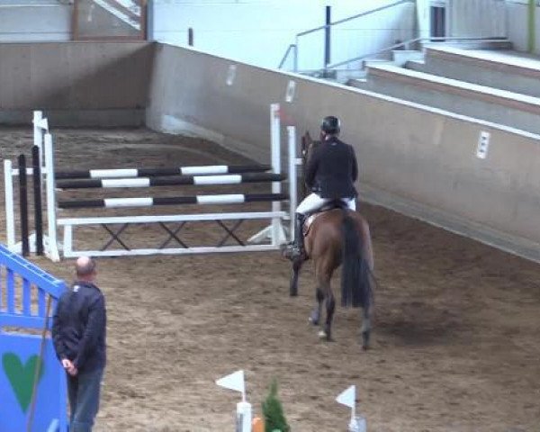 jumper Ronaldo 142 (Rhinelander, 2001, from Rosenfürst N)