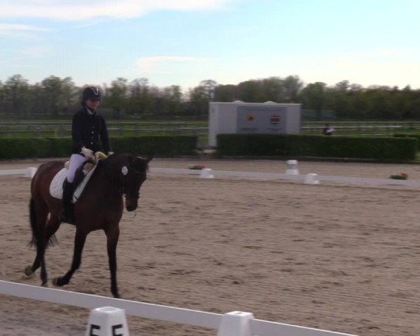 Reitturnier Neustadt/Dosse 2021