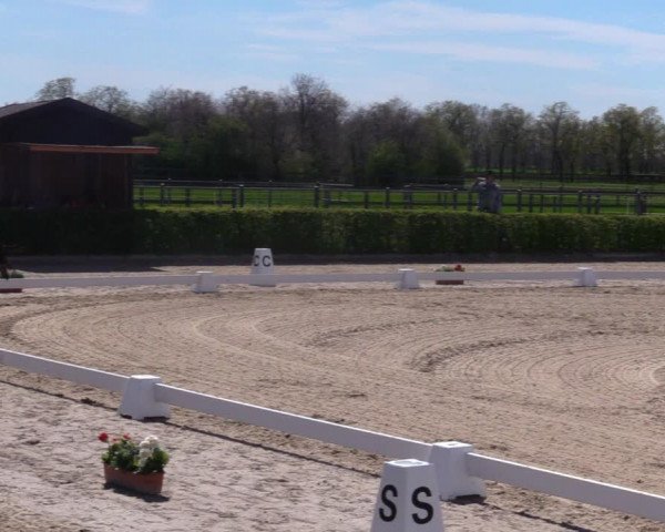 Reitturnier Neustadt/Dosse 2021