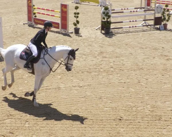Reitturnier Zoltingen/Schw. 2021