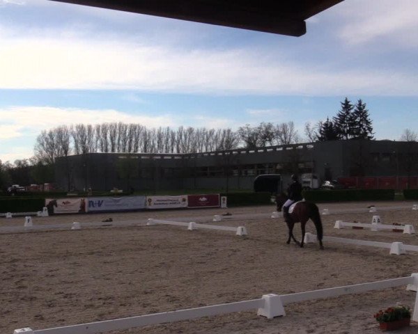 Reitturnier Neustadt/Dosse 2021