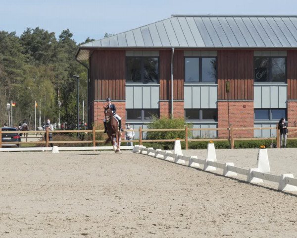 Reitturnier Westergellersen 2021