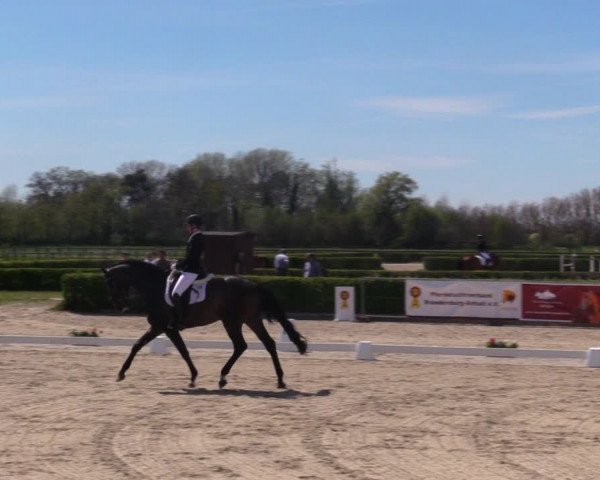 Reitturnier Neustadt/Dosse 2021