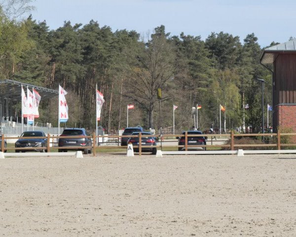 Reitturnier Westergellersen 2021