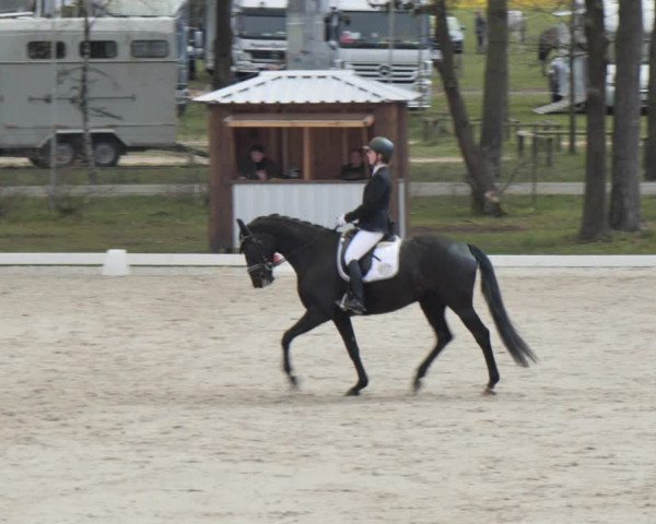 Reitturnier Westergellersen 2021