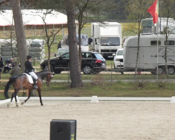 Reitturnier Westergellersen 2021