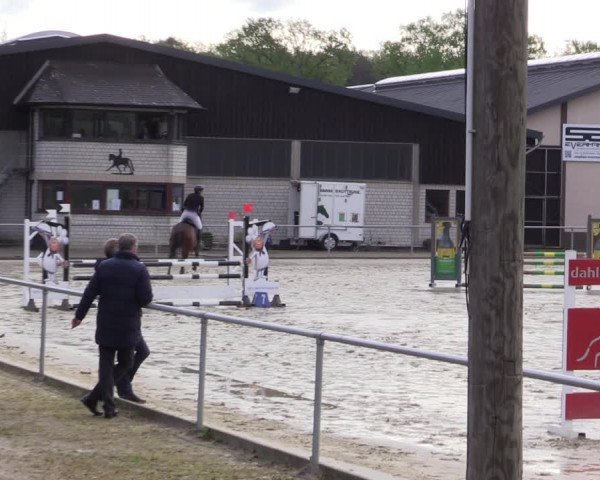 Reitturnier Olfen-Vinnum 2021