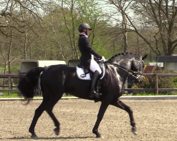 Reitturnier Schwanewede 2021