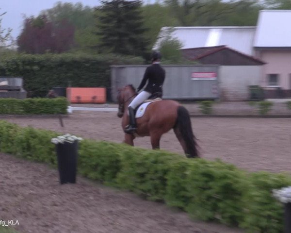 Reitturnier Olfen-Vinnum 2021