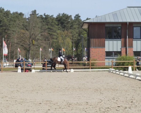 Reitturnier Westergellersen 2021