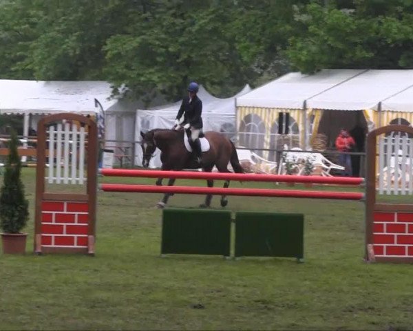 broodmare Loretta (Hanoverian, 1998, from Landfürst)