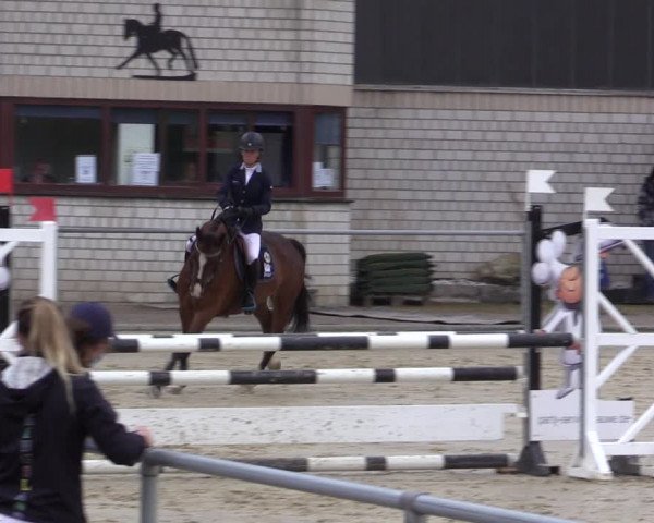 Reitturnier Olfen-Vinnum 2021